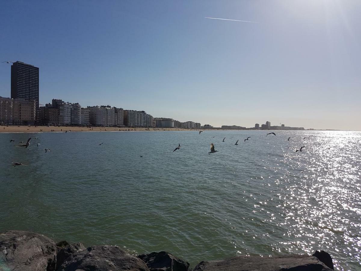 Marina Mercator Oostende Bagian luar foto